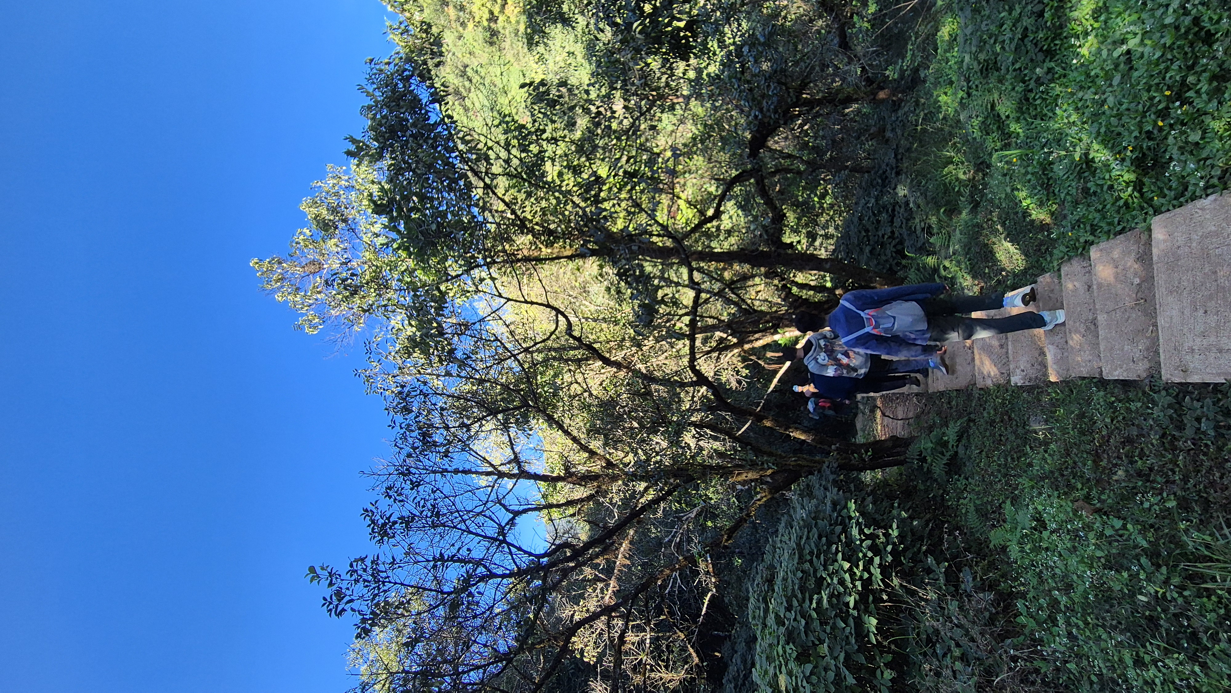 Kumaraparvatha - 017